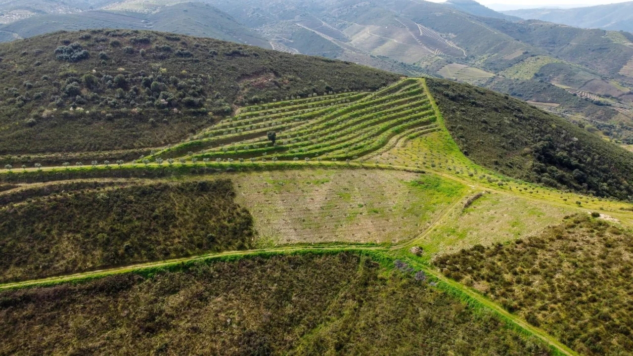 Quinta T3 para Venda em Vila Nova de Foz Côa Foto 32