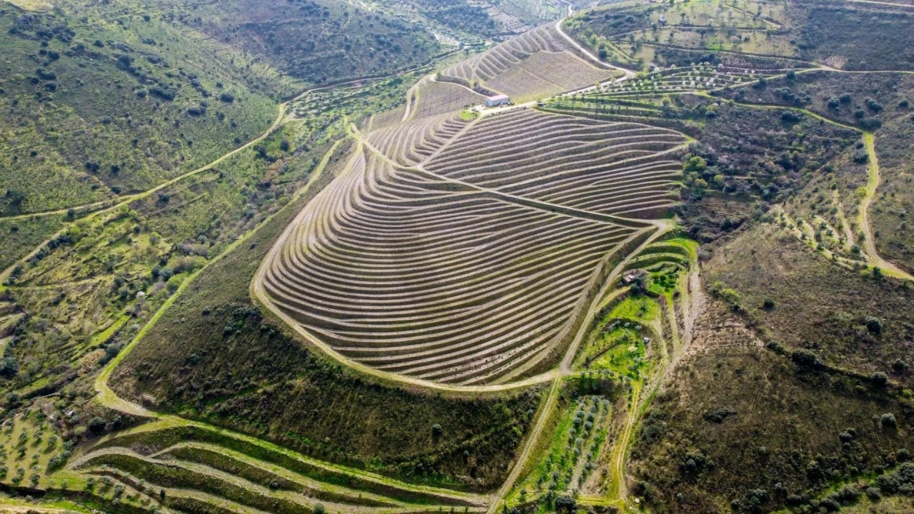 Quinta T3 para Venda em Vila Nova de Foz Côa Foto 5