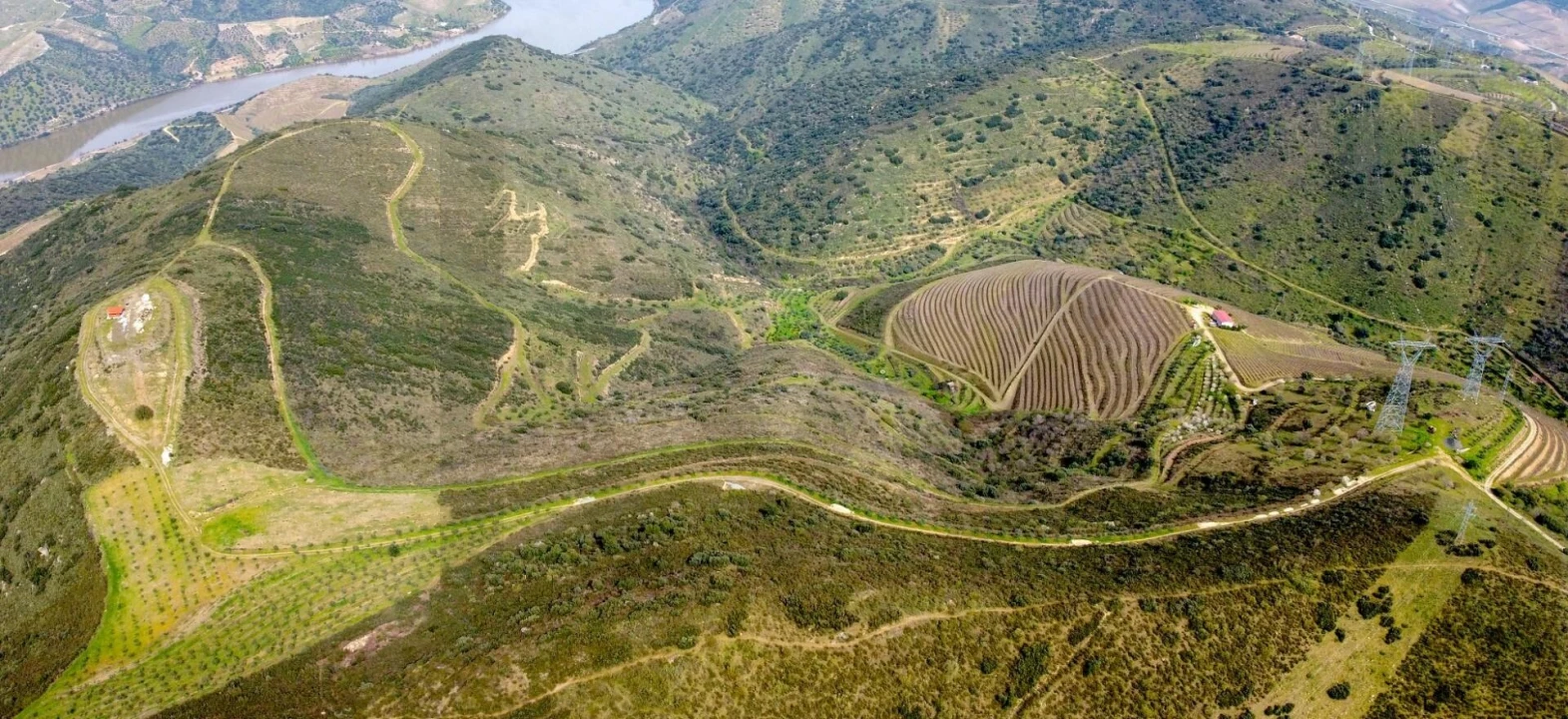 Quinta T3 para Venda em Vila Nova de Foz Côa Foto 3
