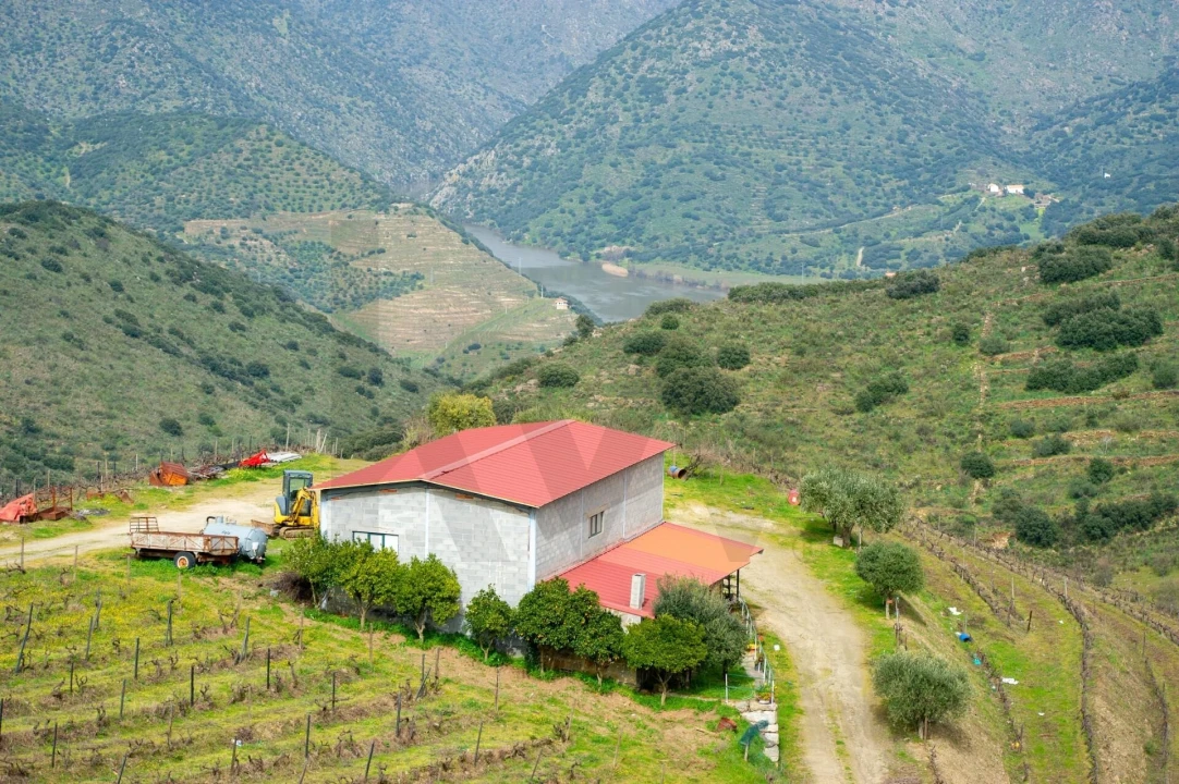 Quinta T3 para Venda em Vila Nova de Foz Côa Foto 42
