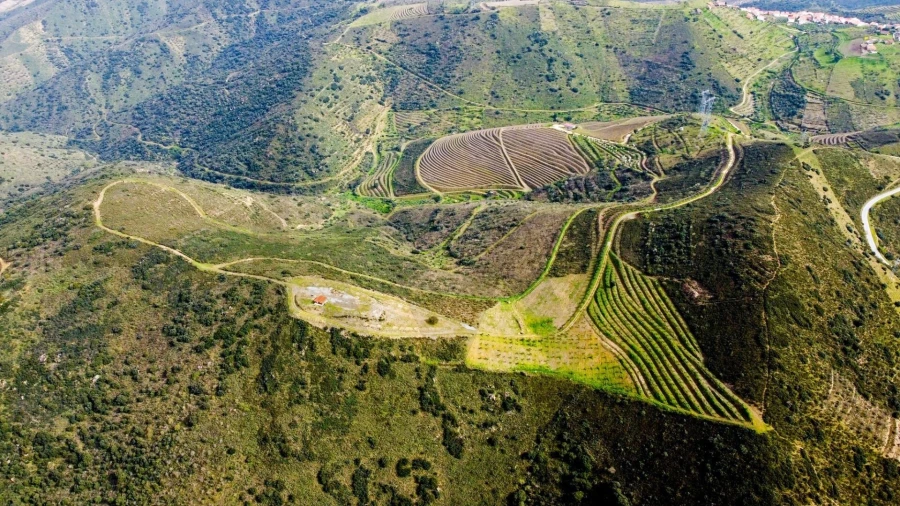 Quinta T3 para Venda em Vila Nova de Foz Côa Foto 25