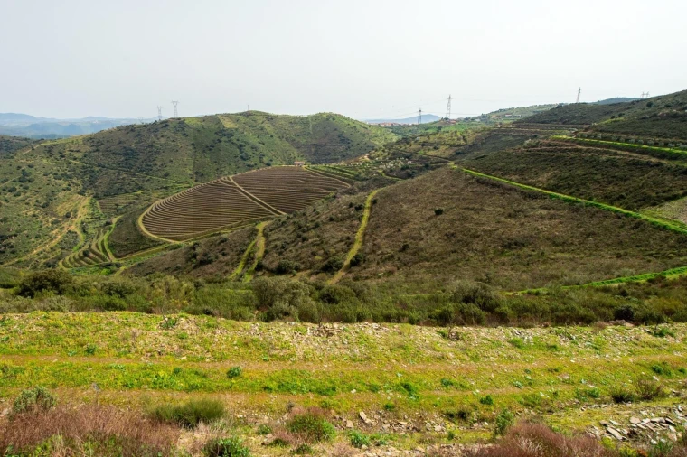 Quinta T3 para Venda em Vila Nova de Foz Côa Foto 33