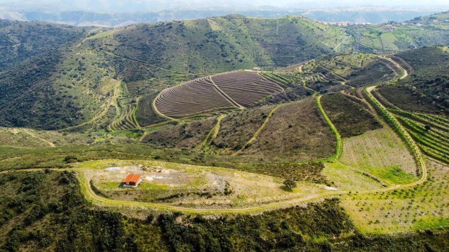 Quinta T3 para Venda em Vila Nova de Foz Côa Foto 8