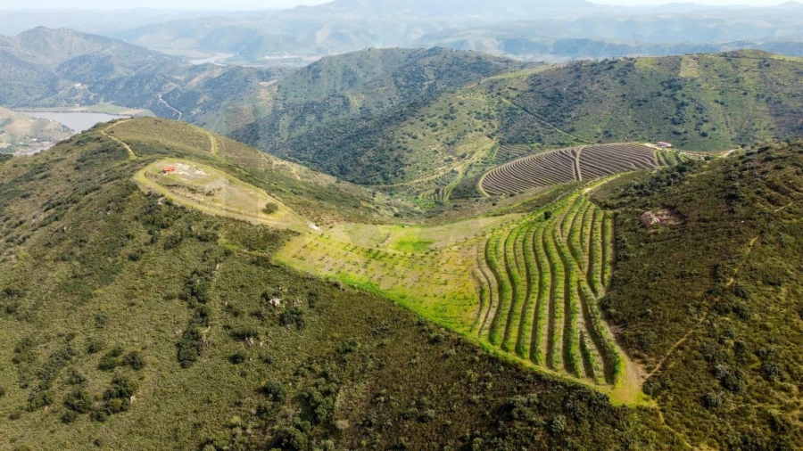 Quinta T3 para Venda em Vila Nova de Foz Côa Foto 24