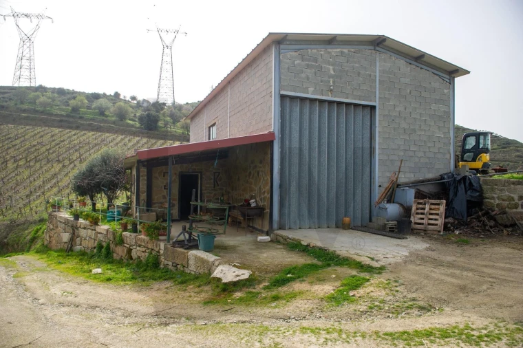 Quinta T3 para Venda em Vila Nova de Foz Côa Foto 44