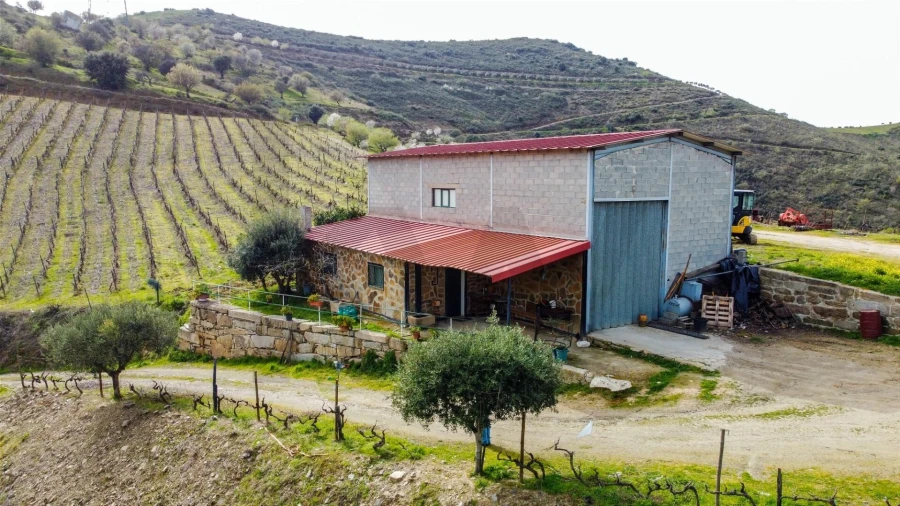 Quinta T3 para Venda em Vila Nova de Foz Côa Foto 40