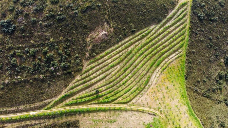 Quinta T3 para Venda em Vila Nova de Foz Côa Foto 49