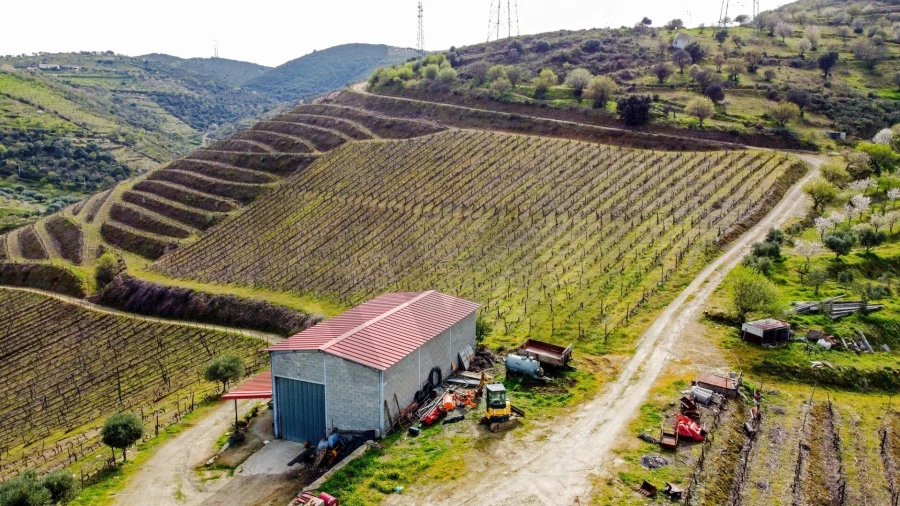 Quinta T3 para Venda em Vila Nova de Foz Côa Foto 43
