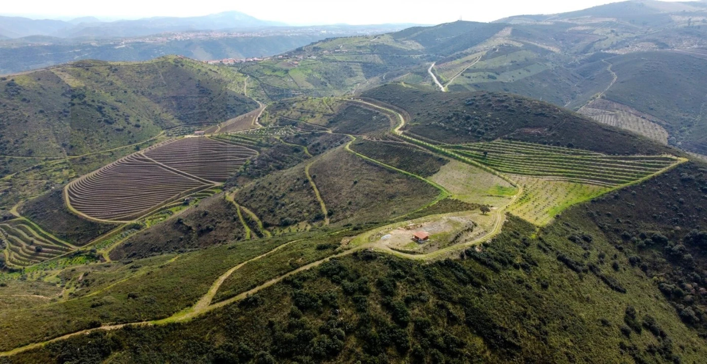 Quinta T3 para Venda em Vila Nova de Foz Côa Foto 2