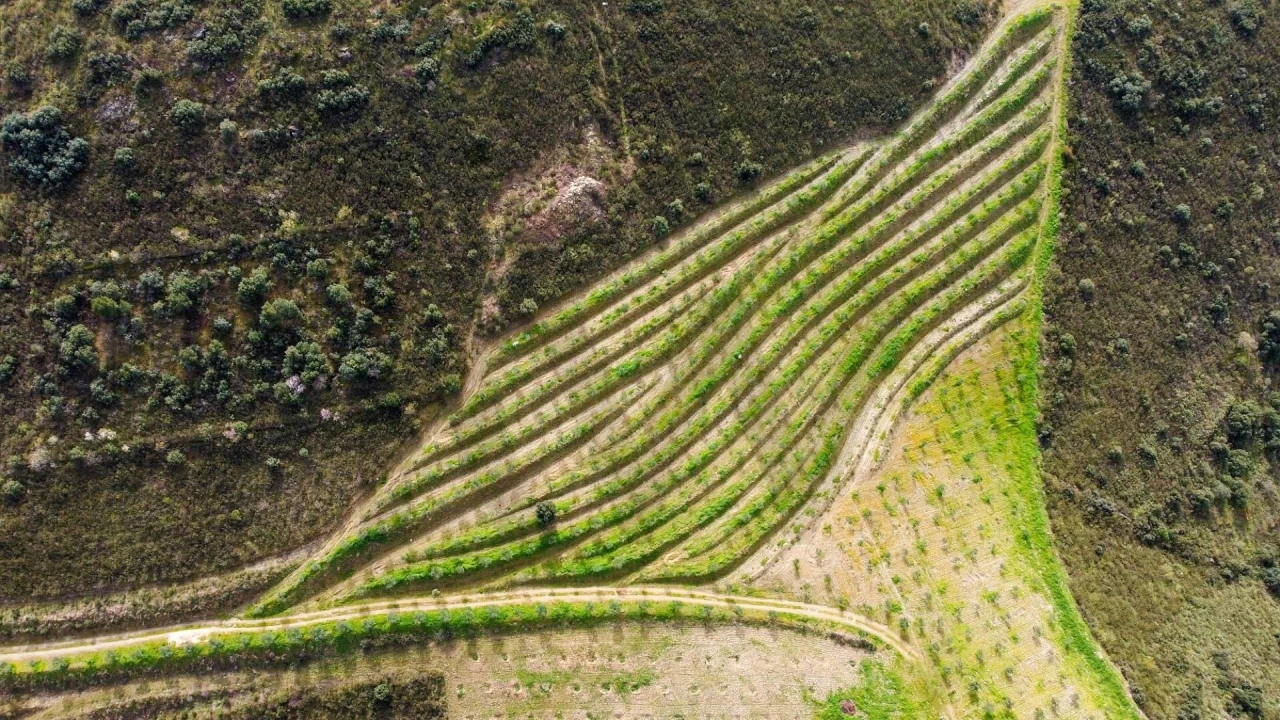 Quinta T3 para Venda em Vila Nova de Foz Côa Foto 49