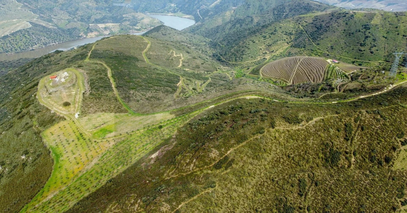 Quinta T3 para Venda em Vila Nova de Foz Côa Foto 4