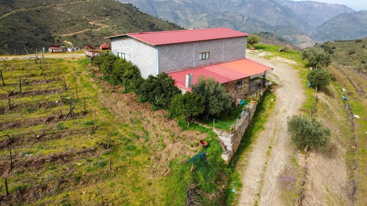 Quinta T3 para Venda em Vila Nova de Foz Côa Foto 39