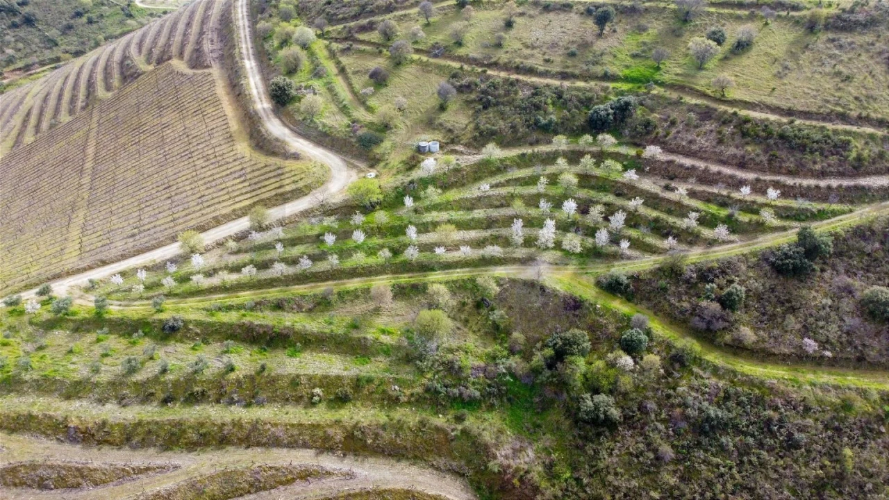 Quinta T3 para Venda em Vila Nova de Foz Côa Foto 7