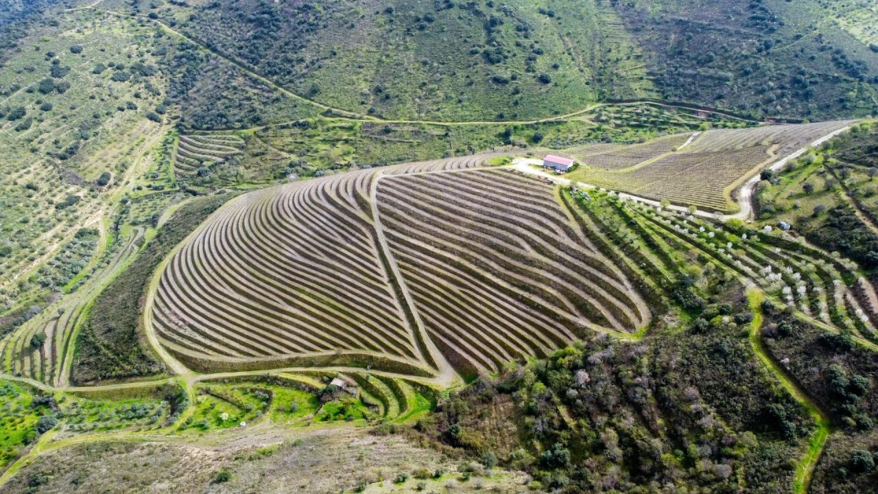 Quinta T3 para Venda em Vila Nova de Foz Côa Foto 6