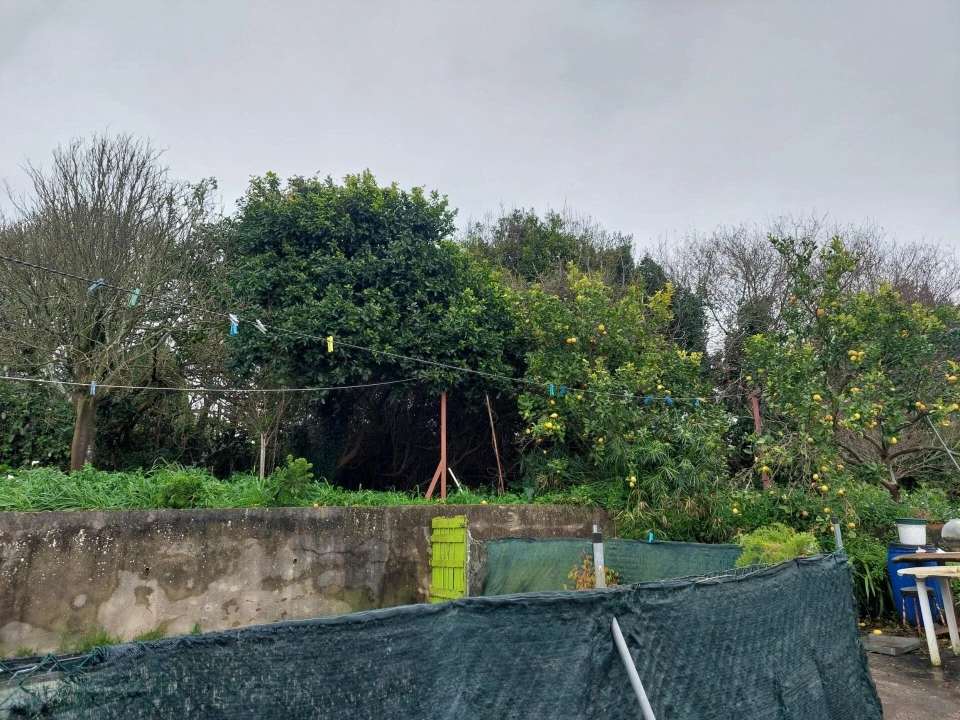 Moradia T2 para Venda em Esmoriz Foto 10