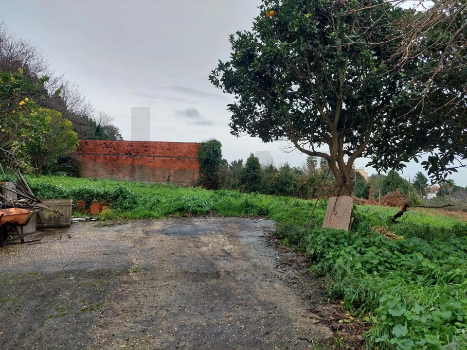 Moradia T2 para Venda em Esmoriz Foto 3