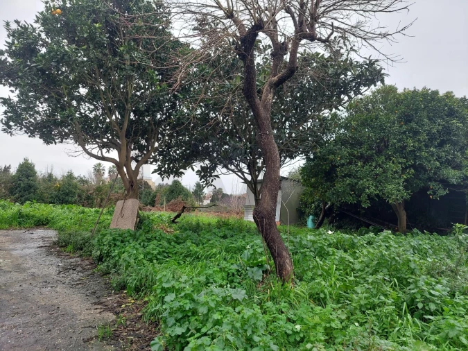 Moradia T2 para Venda em Esmoriz Foto 11