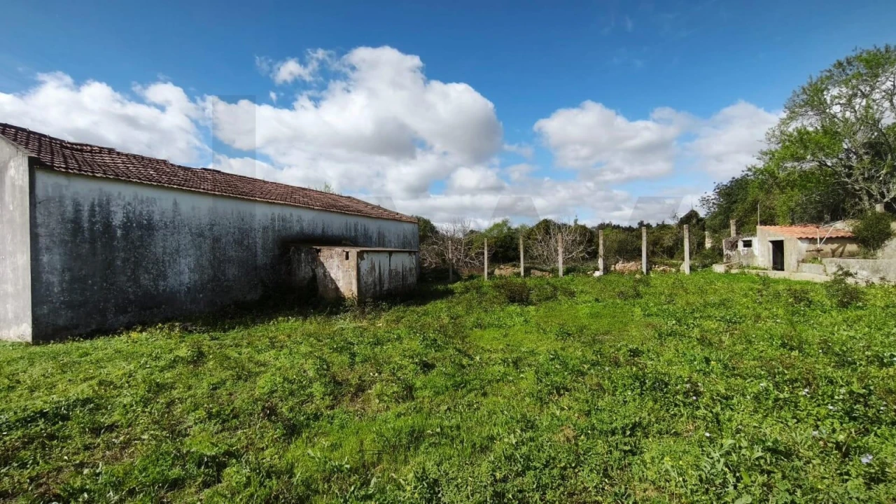 Armazém para Venda em Loule (São Clemente) Foto 34