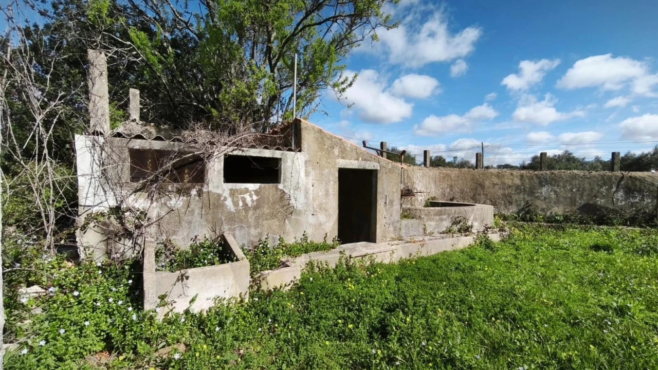 Armazém para Venda em Loule (São Clemente) Foto 40