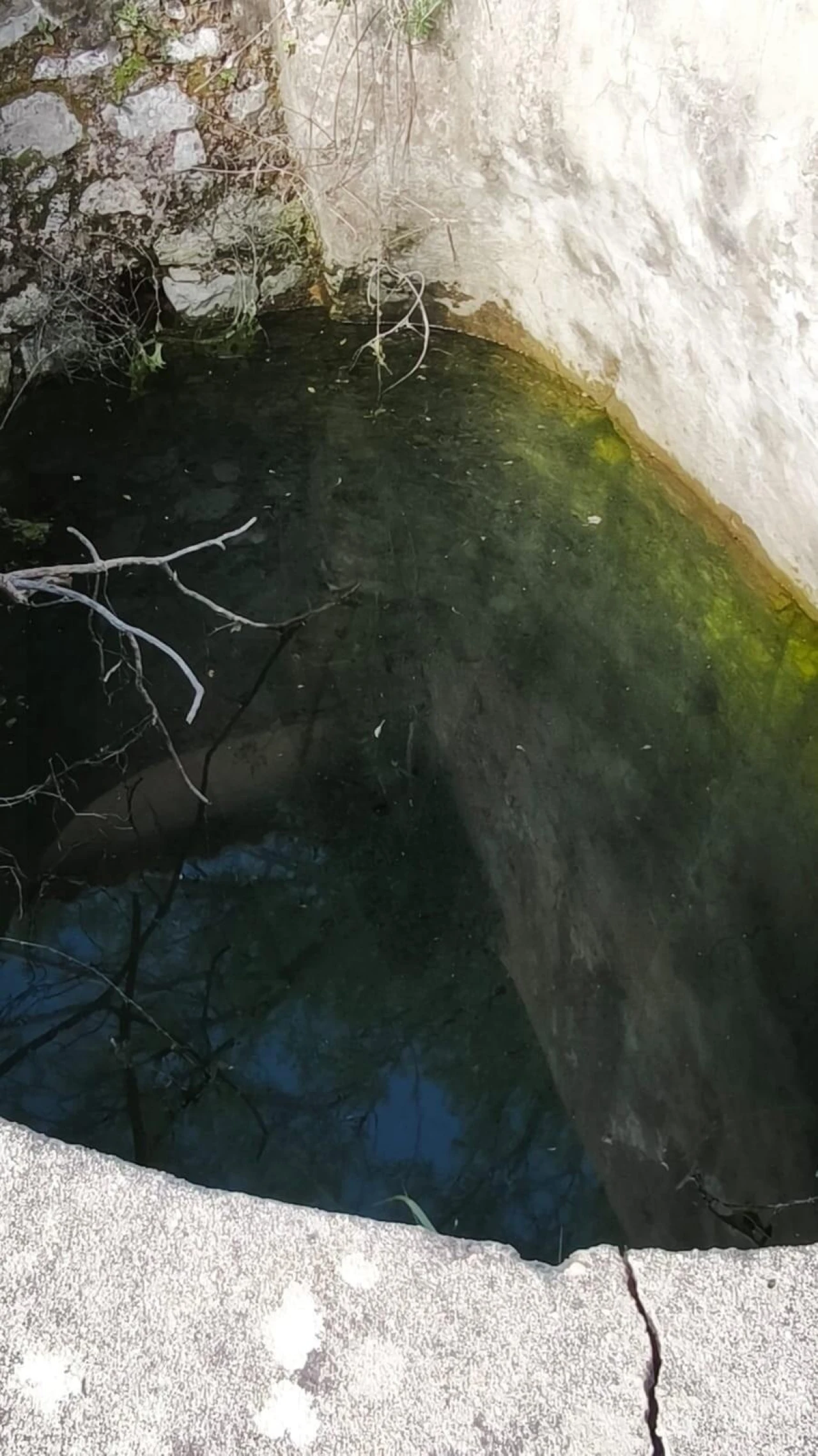 Armazém para Venda em Loule (São Clemente) Foto 38
