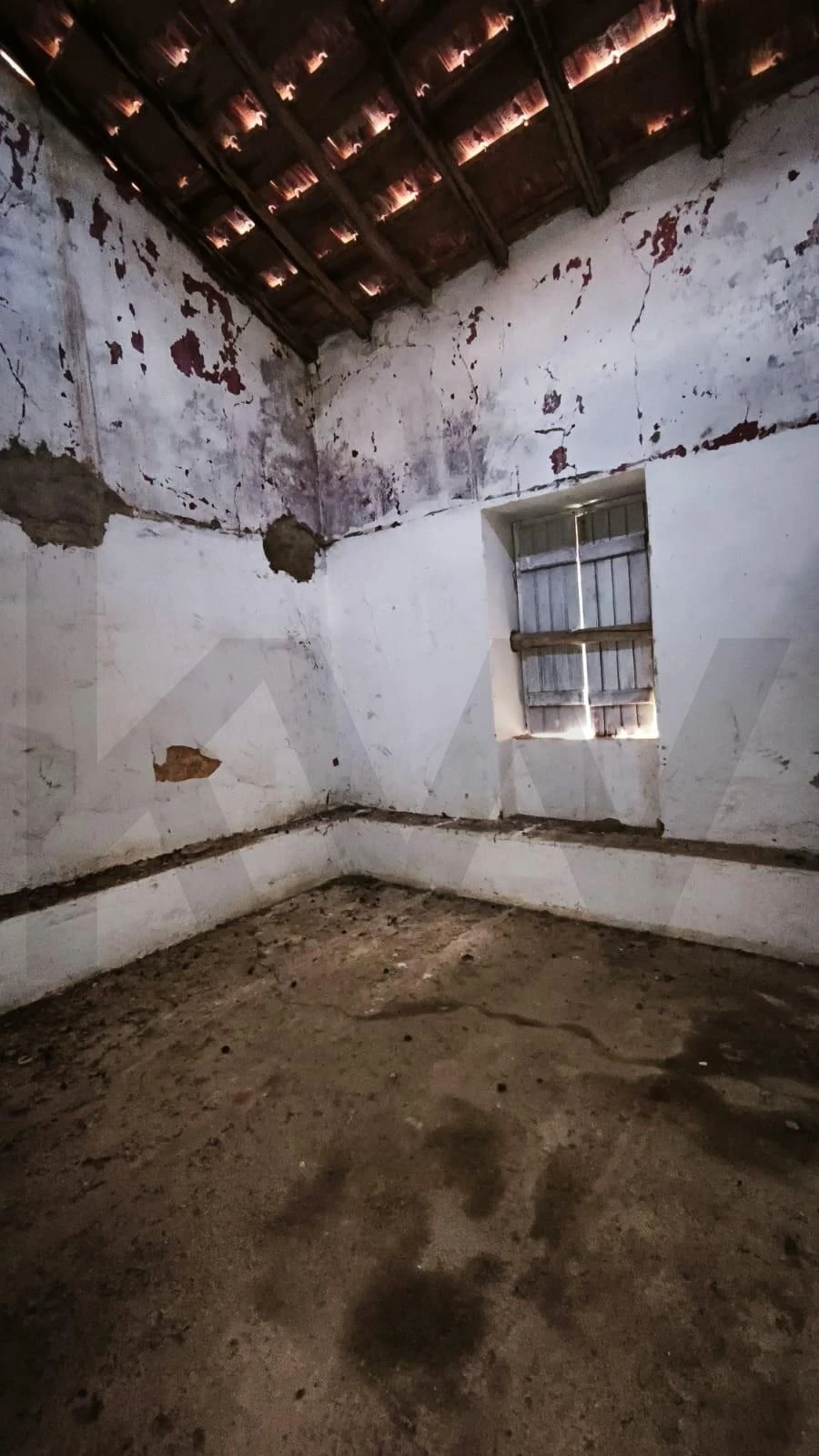 Armazém para Venda em Loule (São Clemente) Foto 16