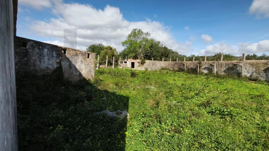 Armazém para Venda em Loule (São Clemente) Foto 44