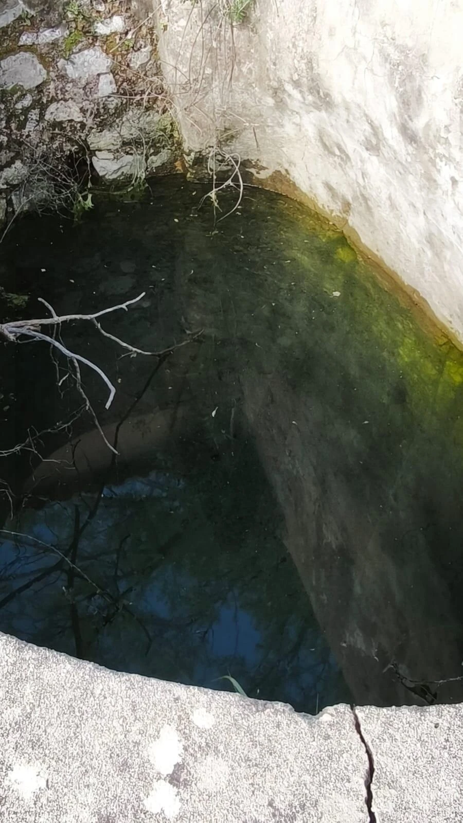 Armazém para Venda em Loule (São Clemente) Foto 38