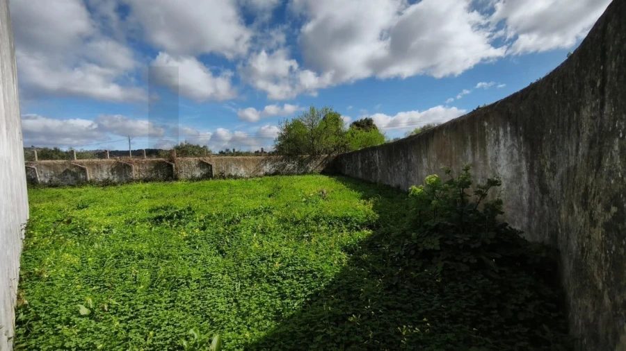 Armazém para Venda em Loule (São Clemente) Foto 29