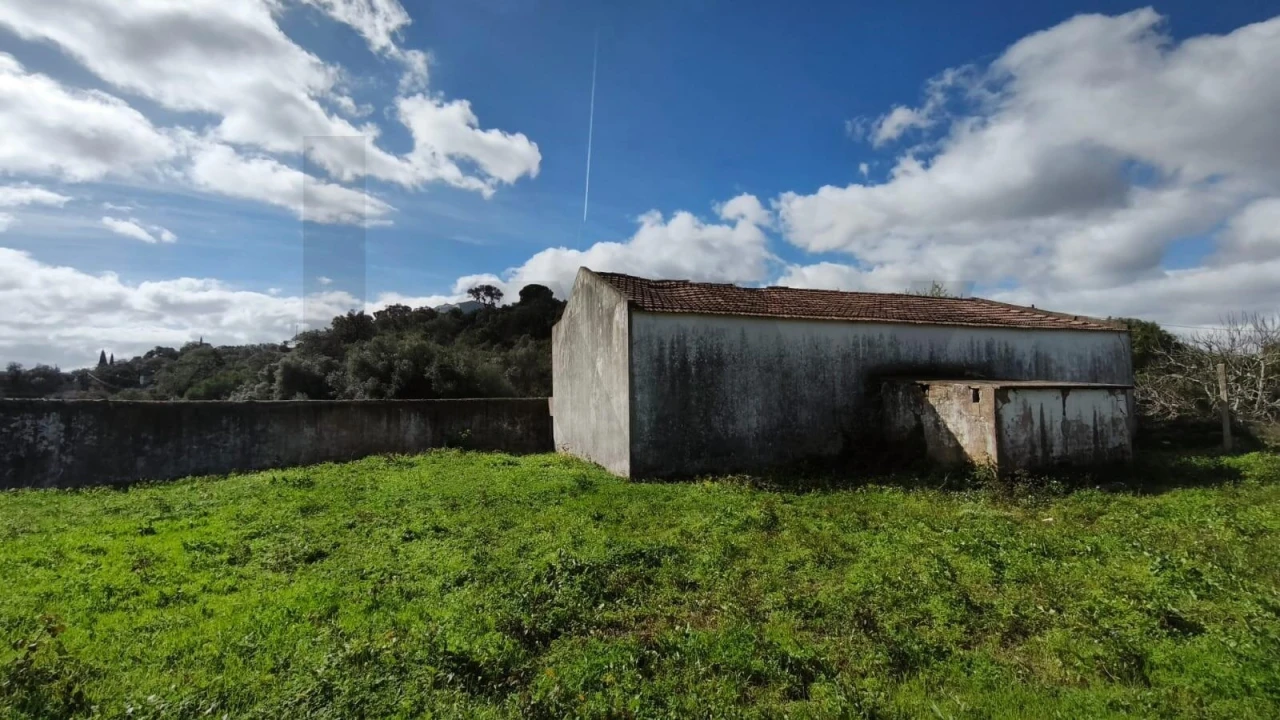 Armazém para Venda em Loule (São Clemente) Foto 33