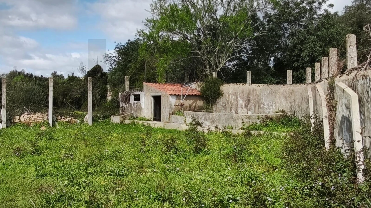 Armazém para Venda em Loule (São Clemente) Foto 35