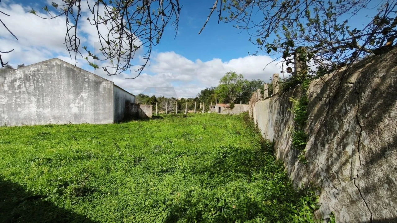 Armazém para Venda em Loule (São Clemente) Foto 31