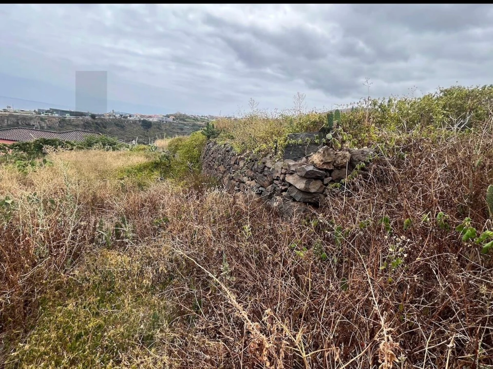 Terreno para Venda em Gaula Foto 7