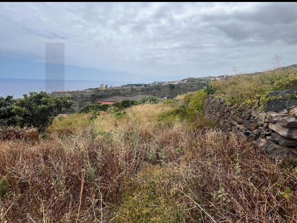 Terreno para Venda em Gaula Foto 10