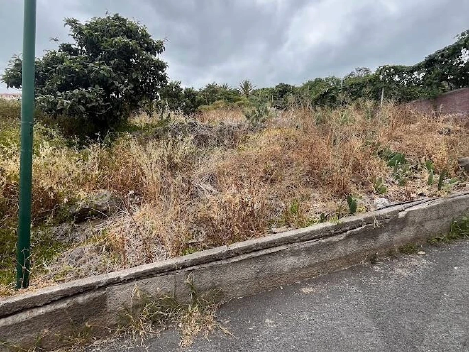 Terreno para Venda em Gaula Foto 19