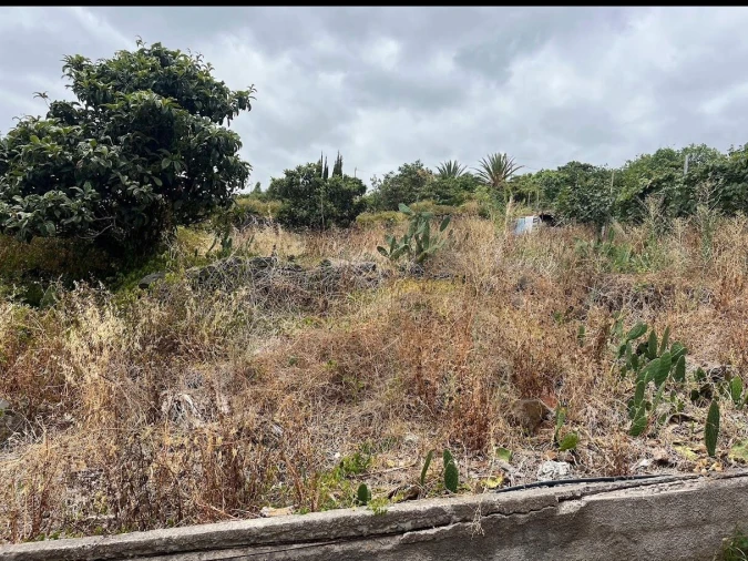 Terreno para Venda em Gaula Foto 9