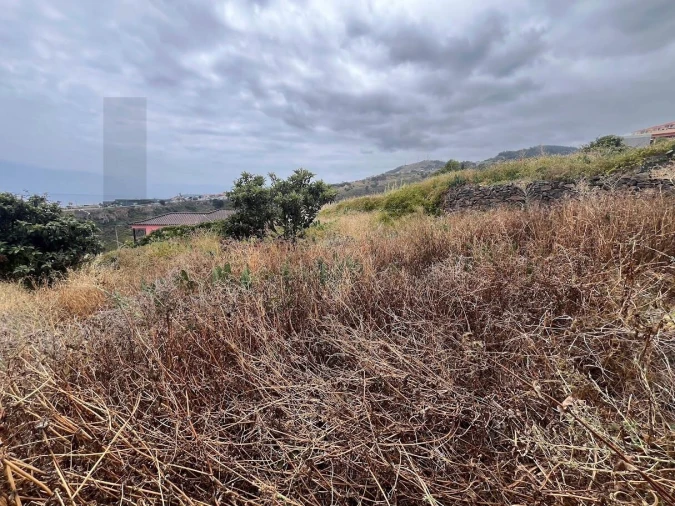 Terreno para Venda em Gaula Foto 6
