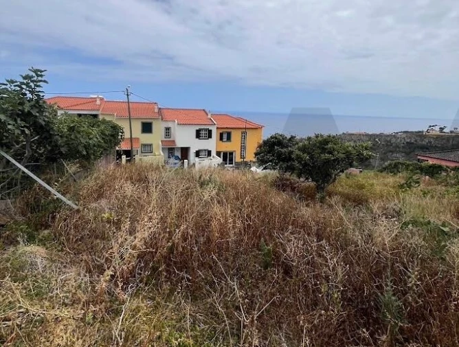 Terreno para Venda em Gaula Foto 18