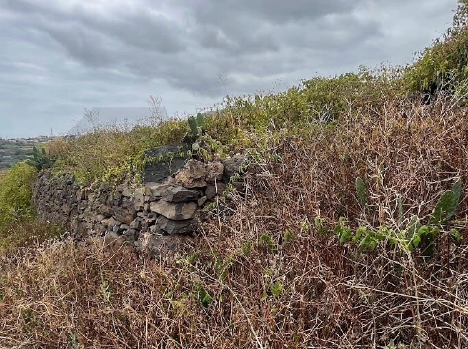 Terreno para Venda em Gaula Foto 17