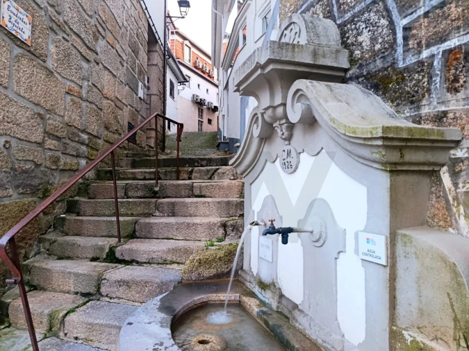 Prédio para Venda em São Pedro do Sul, Várzea e Baiões Foto 38