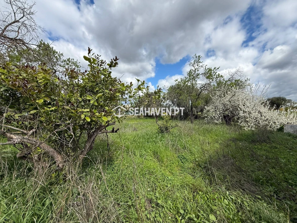 Moradia T3 para Venda em Paderne Foto 4