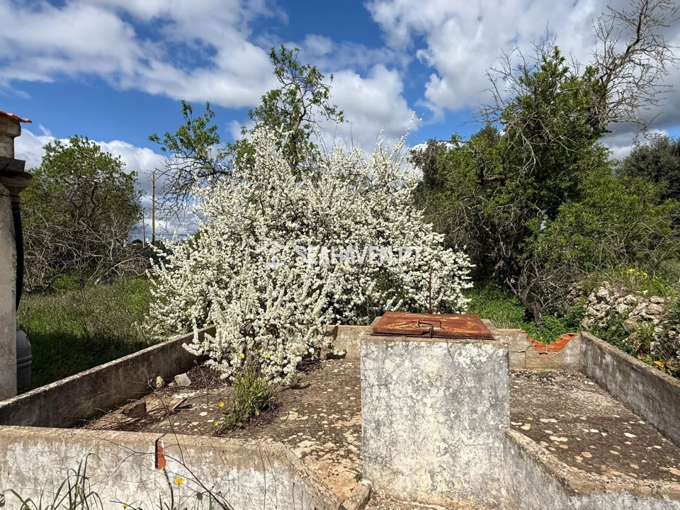 Moradia T3 para Venda em Paderne Foto 6