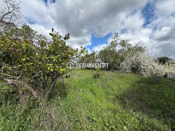 Moradia T3 para Venda em Paderne Foto 4