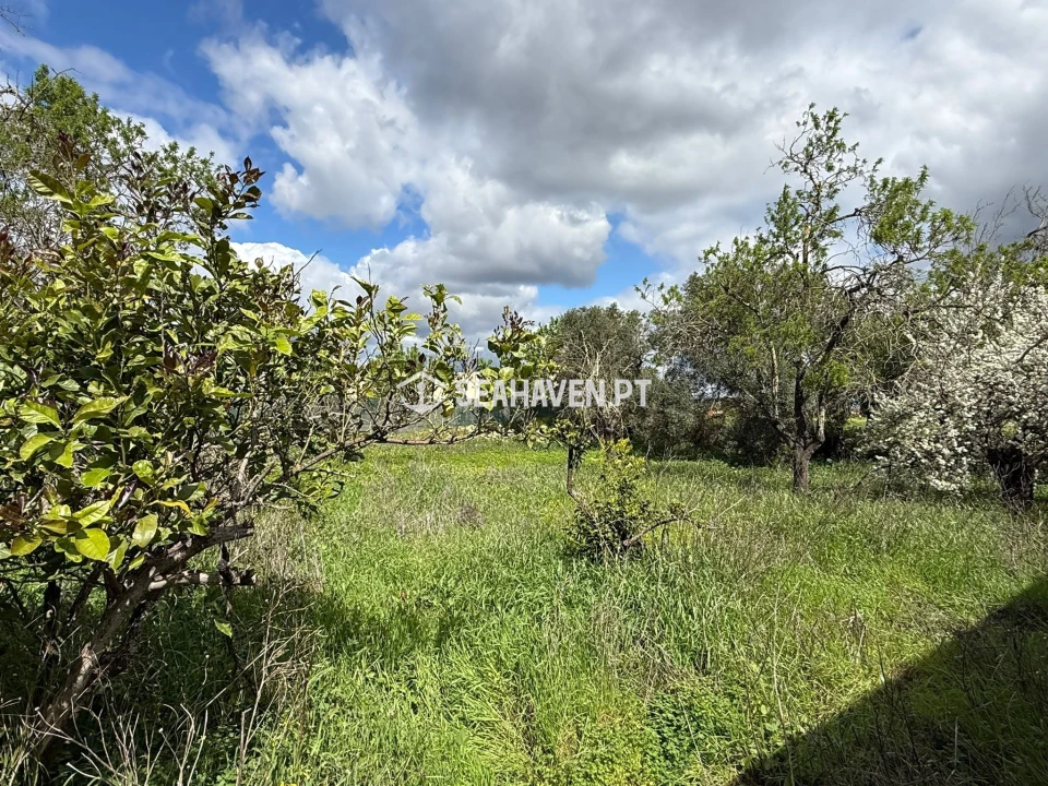 Moradia T3 para Venda em Paderne Foto 11