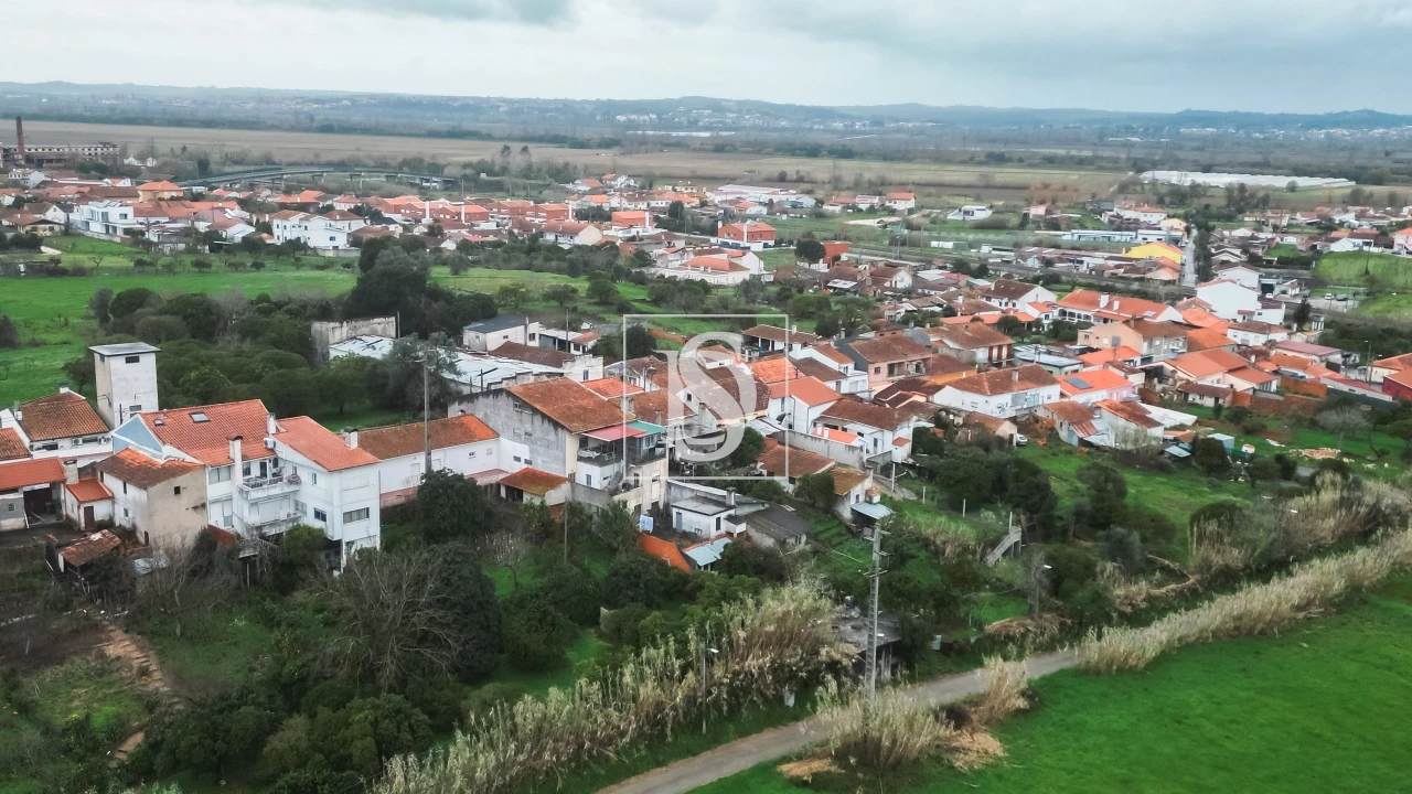 Terreno para Venda em São Martinho do Bispo e Ribeira de Frades Foto 10