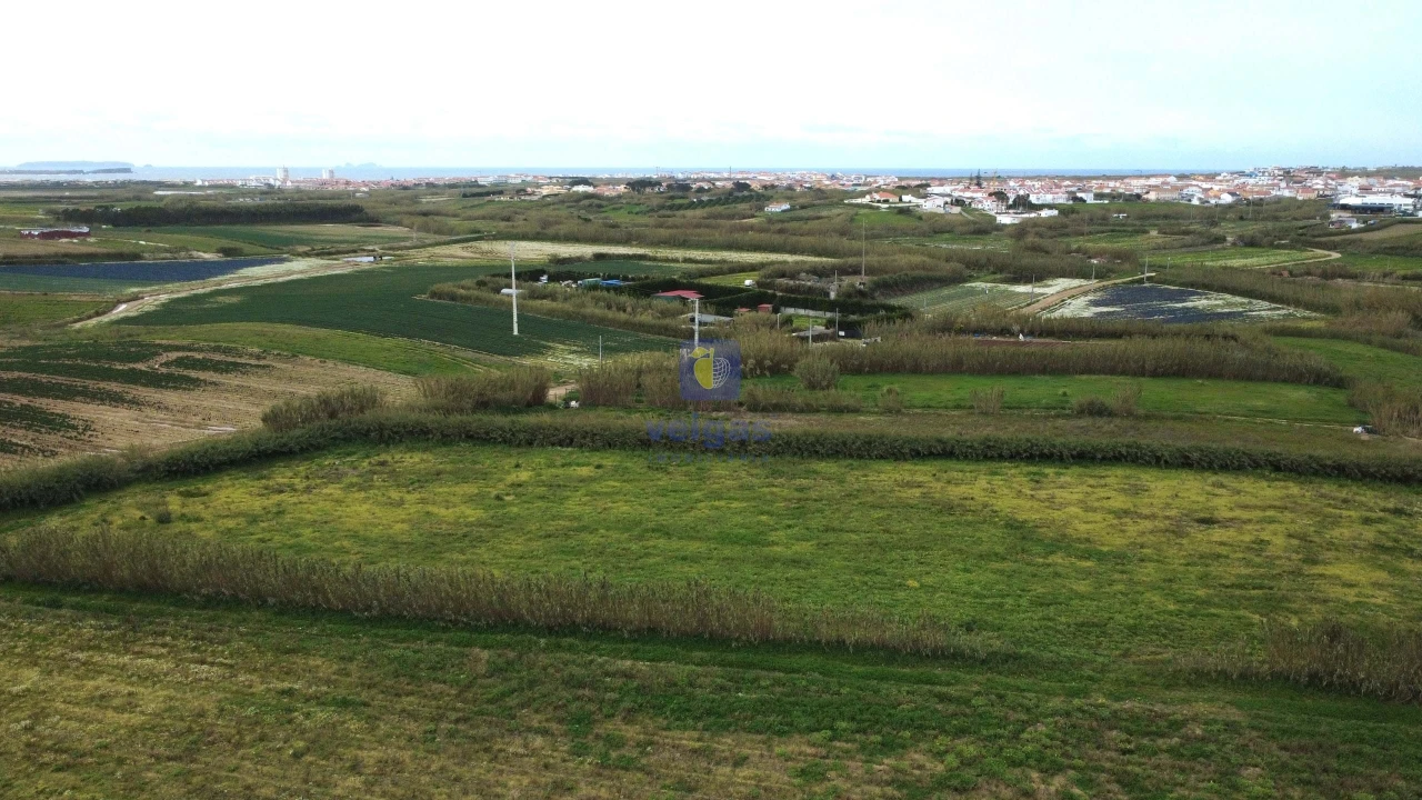 Terreno para Venda em Ferrel Foto 13