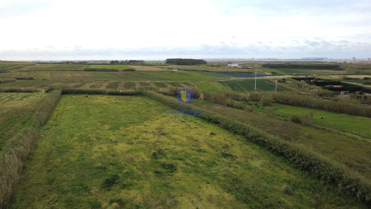 Terreno para Venda em Ferrel Foto 10