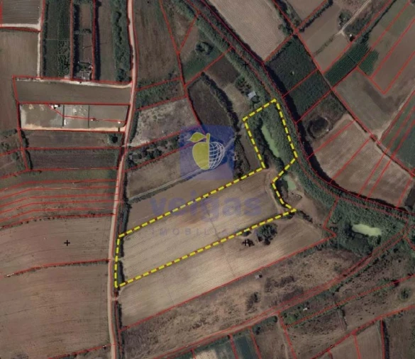 Terreno para Venda em Ferrel Foto 15