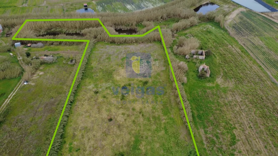 Terreno para Venda em Ferrel Foto 14