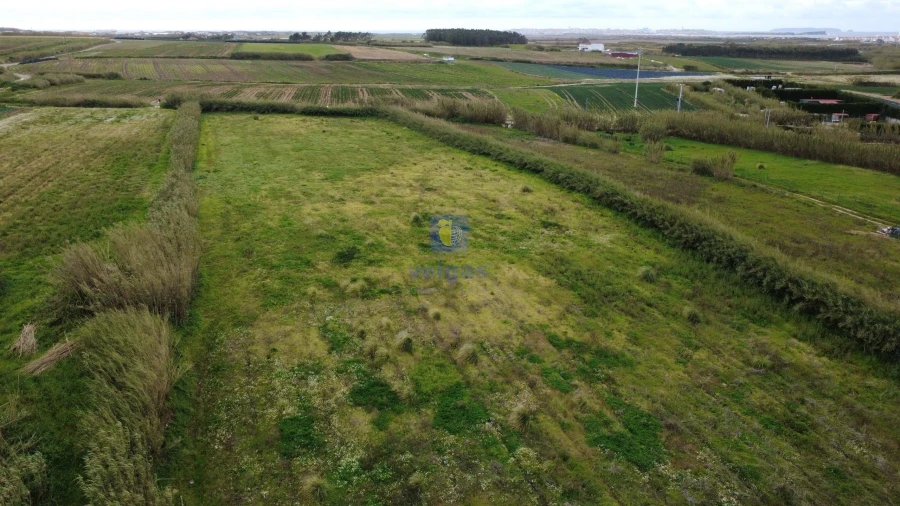 Terreno para Venda em Ferrel Foto 11