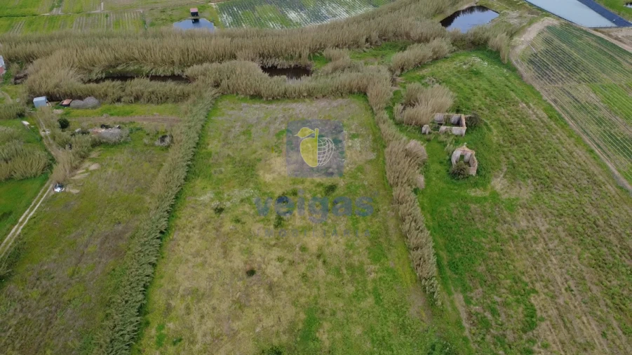 Terreno para Venda em Ferrel Foto 4